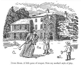 A Little Game of Croquet